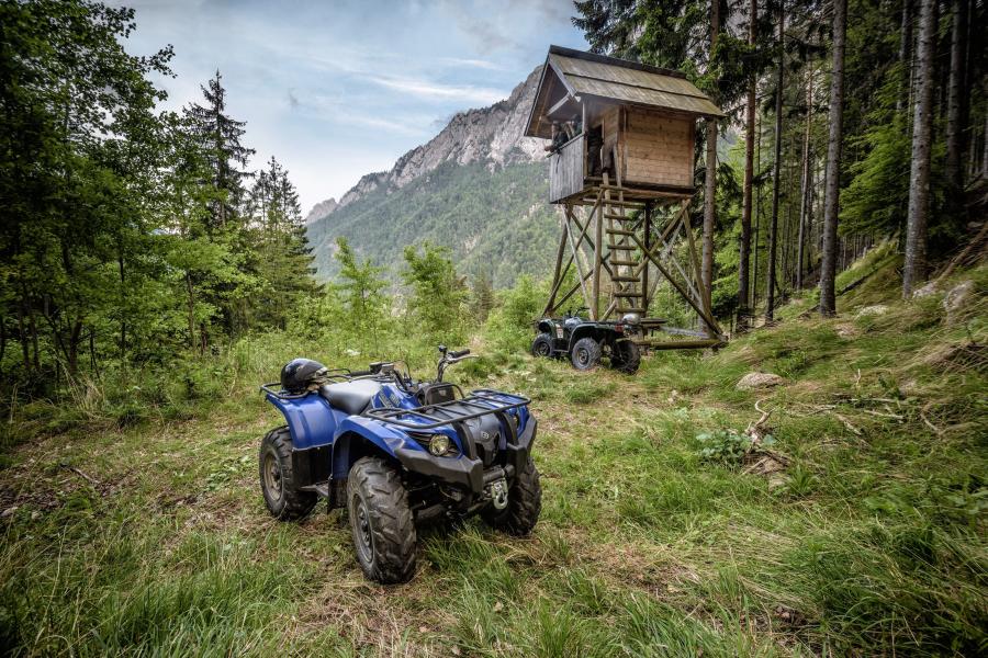 Yamaha Grizzly 450 EPS